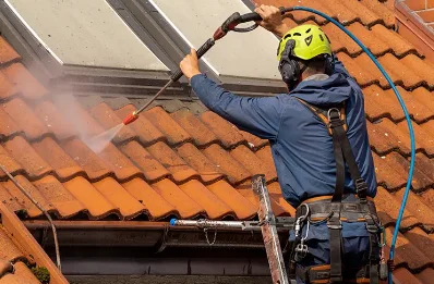 Démoussage et hydrofuge de toiture à Saujon